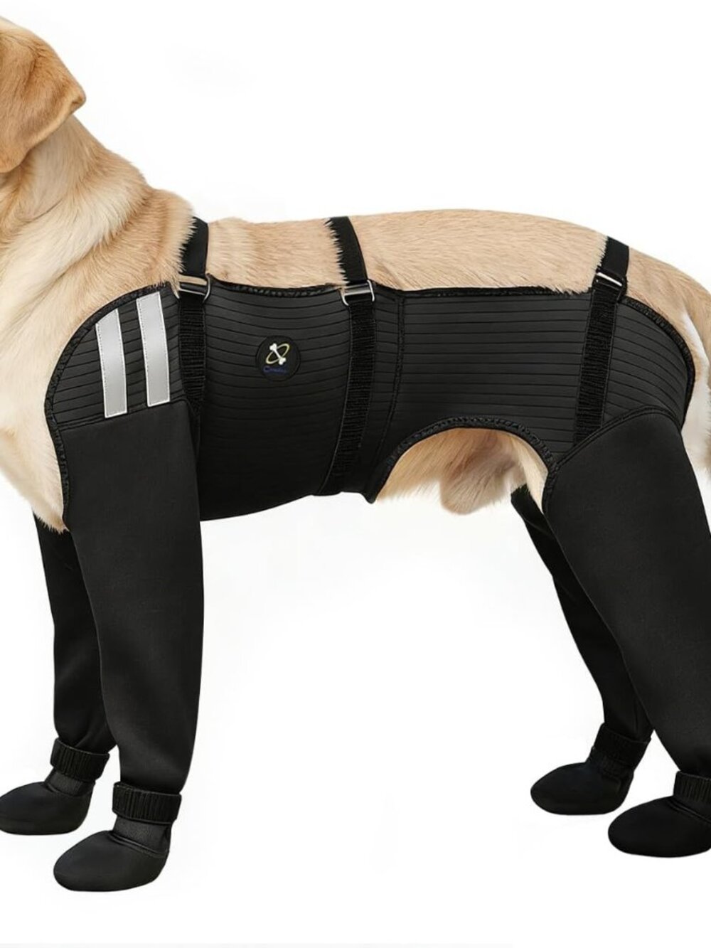 Dog Socks for All 4 Paws, Waterproof, Non-Slip, Paw Protection, Large, Black